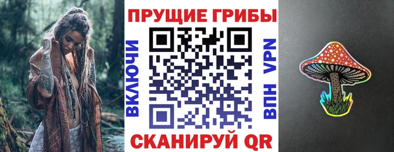 Псилоцибиновые грибы Psilocybe купить наркотик Ардон